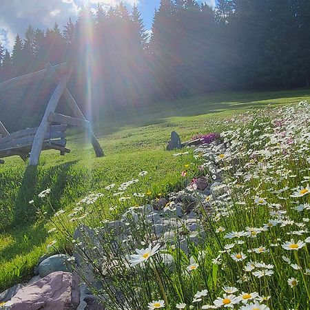 Ferienhof Obertenn Hochfilzen Ngoại thất bức ảnh