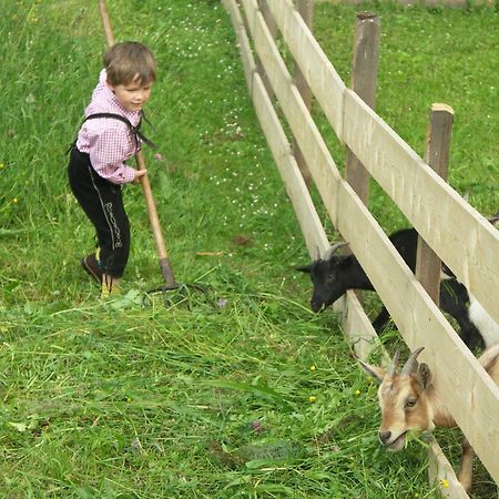 Ferienhof Obertenn Hochfilzen Ngoại thất bức ảnh