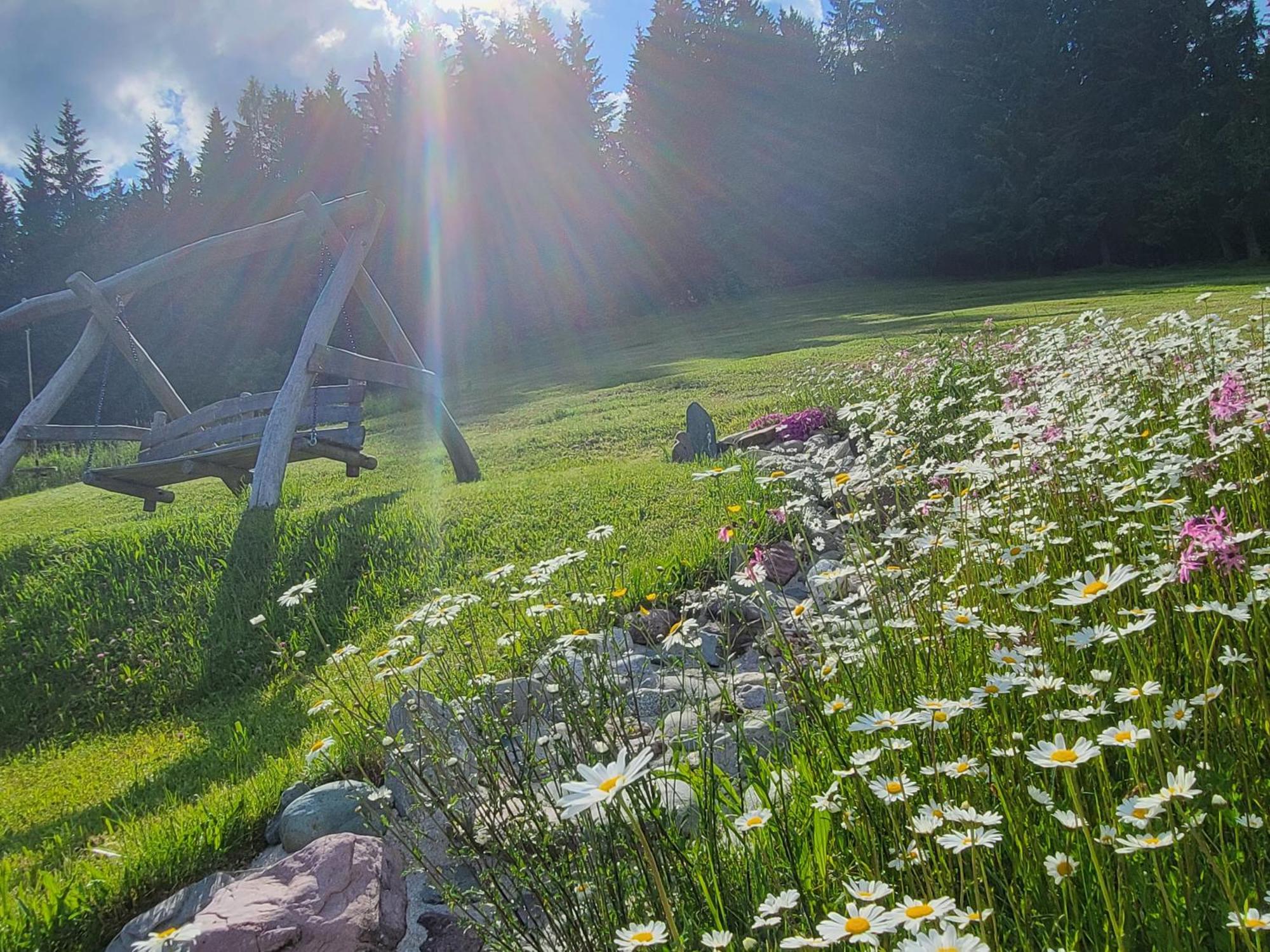 Ferienhof Obertenn Hochfilzen Ngoại thất bức ảnh