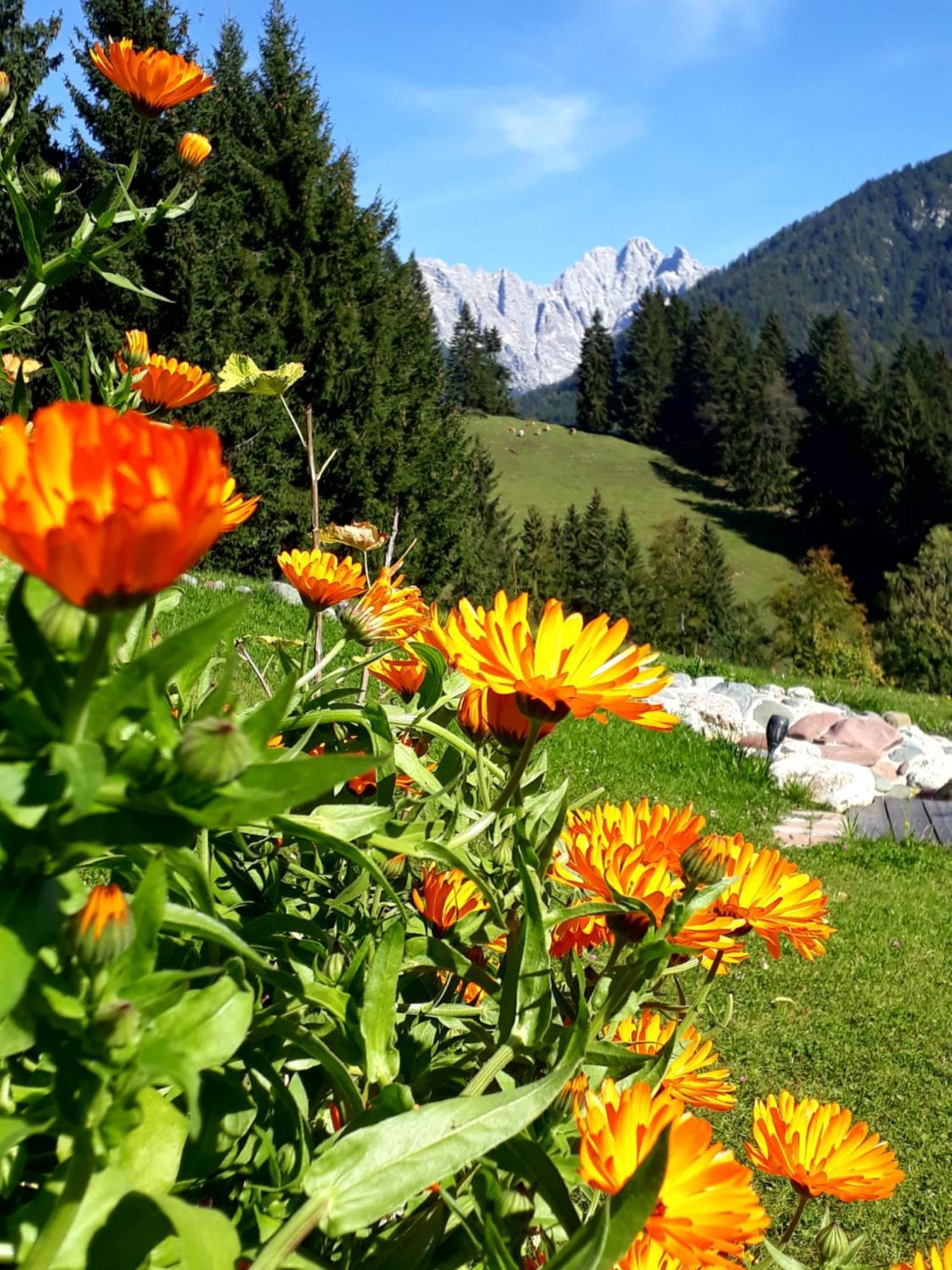 Ferienhof Obertenn Hochfilzen Ngoại thất bức ảnh