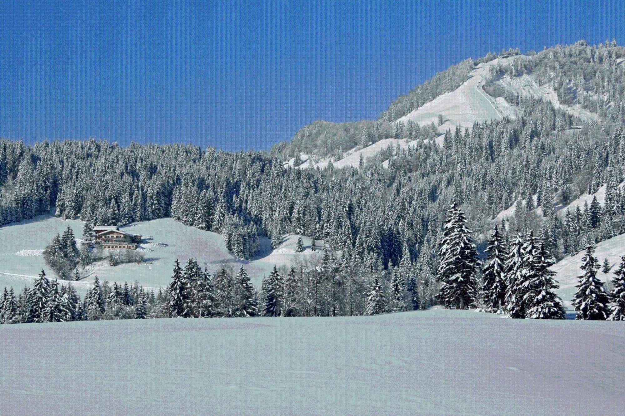 Ferienhof Obertenn Hochfilzen Ngoại thất bức ảnh